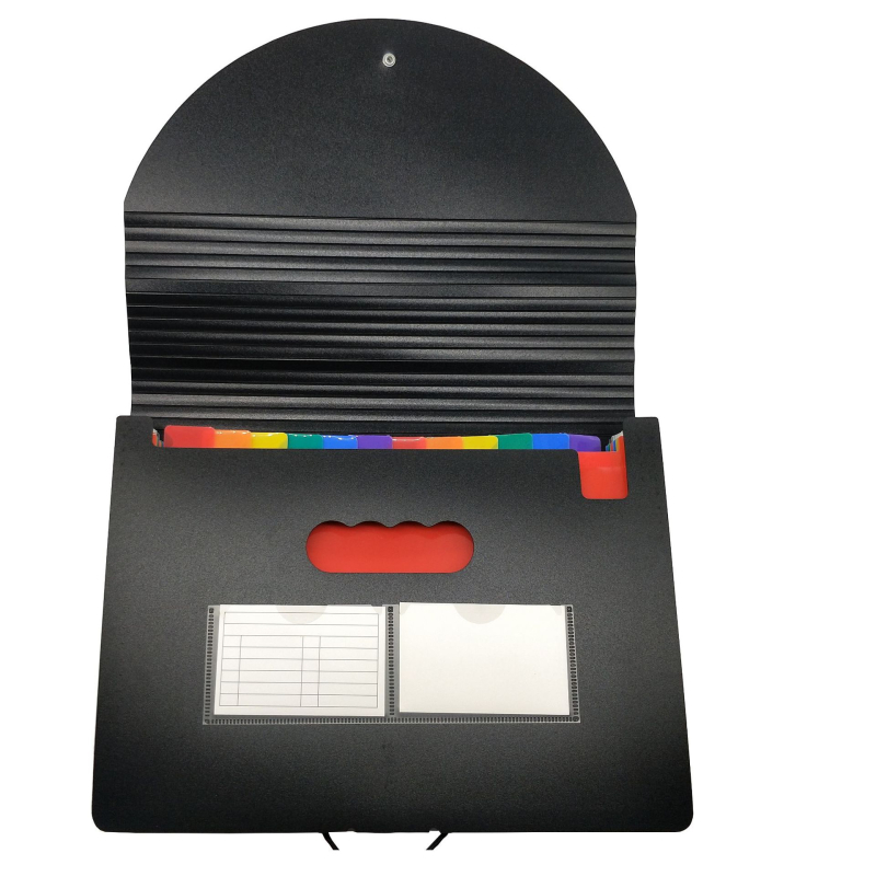 Dosar creativ pentru studenți din PP, organizator A4 tip acordeon