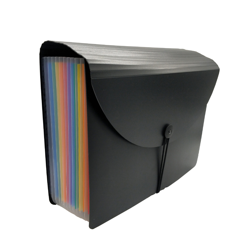 Dosar creativ pentru studenți din PP, organizator A4 tip acordeon