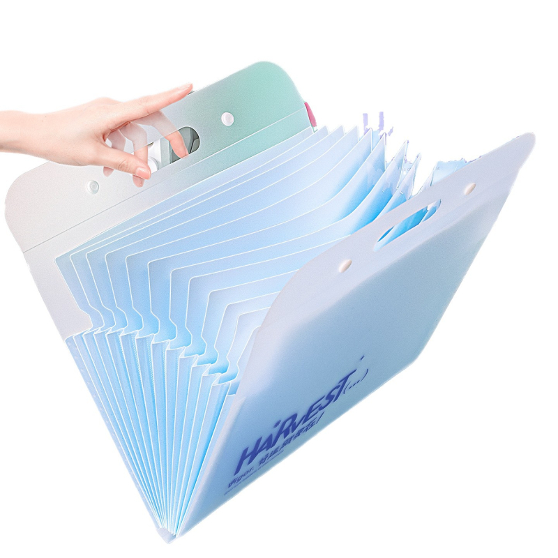 Deli dosar acordeon cu mai multe compartimente, format A4