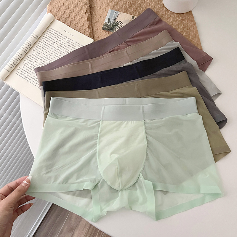 Muške bokserice od Ice Silk, prozračan, bez šavova, novi model 2024, velika veličina