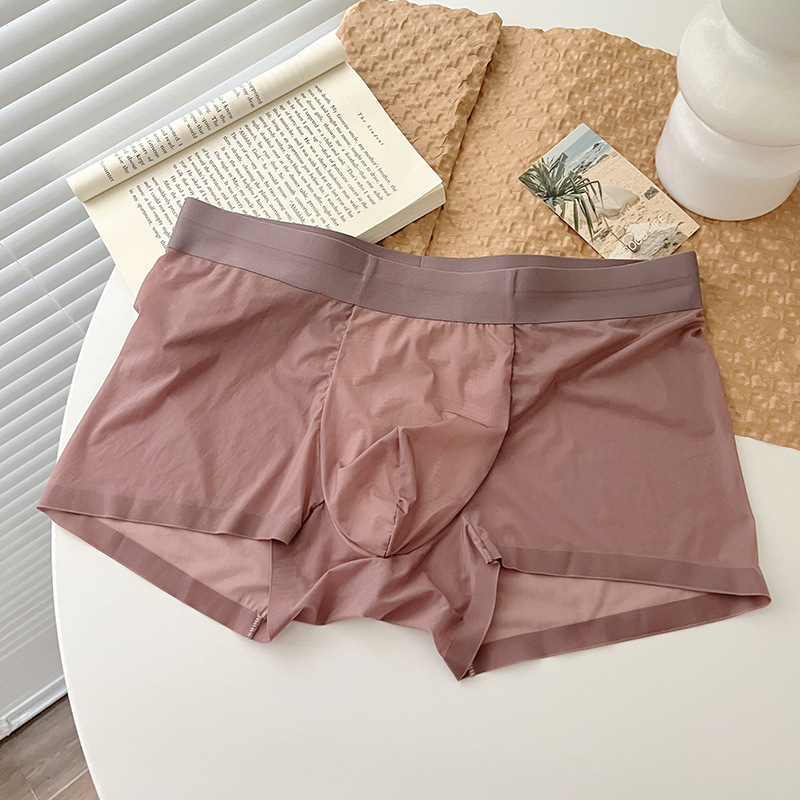 Muške bokserice od Ice Silk, prozračan, bez šavova, novi model 2024, velika veličina