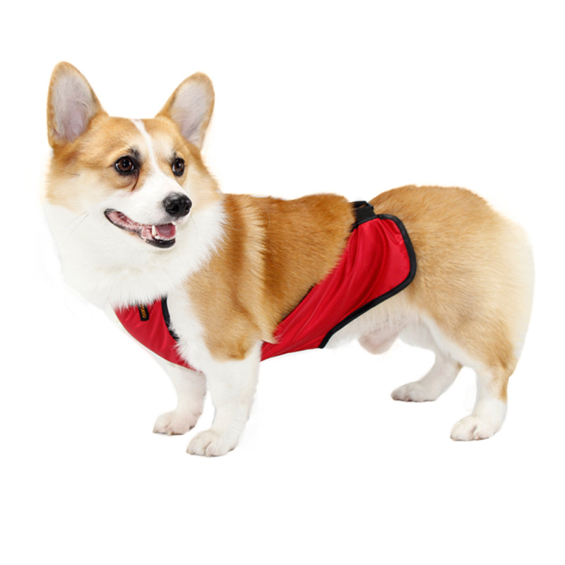 Pet It Corgi Belly Band, водоустойчив и защитен от мръсотия за мъжки и женски кучета, за малки породи