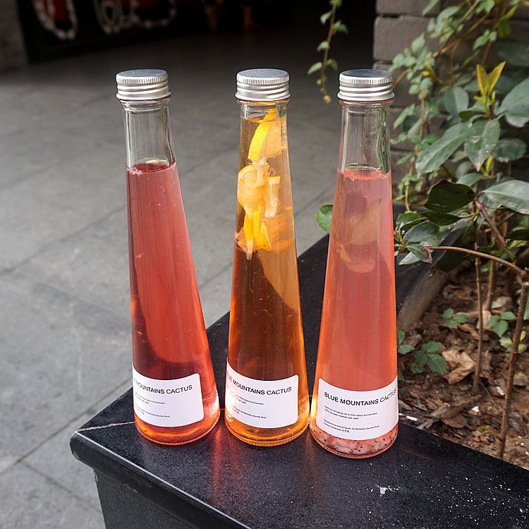 Bočica za napitke kava-limun, prozirna staklena boca za alkohol i vino, prazna boca, vrhunski kreativni dizajn, visoko kvalitetno bijelo staklo, 250 ml / 330 ml