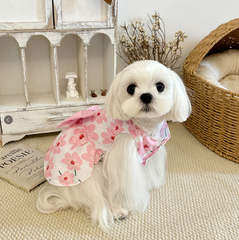Rochie florală primăvară-vară pentru câini și pisici, cu funda