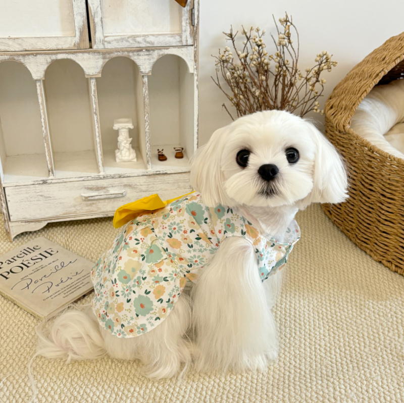 Rochie florală primăvară-vară pentru câini și pisici, cu funda