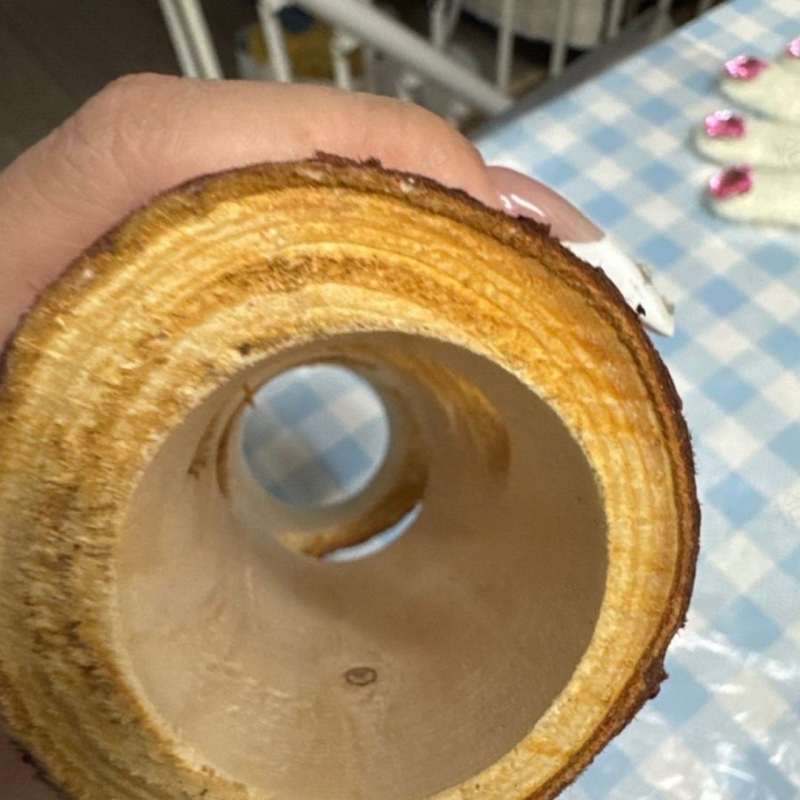 Hamster tunel od prirodnog drveta s trupom drveta i šupljinom — igračka za kućne ljubimce