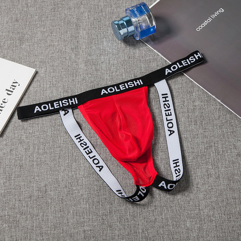 Muški seksi T-string gaćice s elastičnim podizanjem bokova, prozirna mrežasta tkanina, niski struk, G18