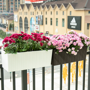 Ghiveci de balcon autoirigare cu aspect rătan, din plastic, mare, pentru legume și flori; poate fi montat pe perete, pe birou sau pe podea