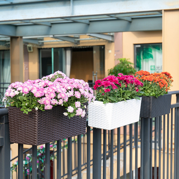 Ghiveci de balcon autoirigare cu aspect rătan, din plastic, mare, pentru legume și flori; poate fi montat pe perete, pe birou sau pe podea