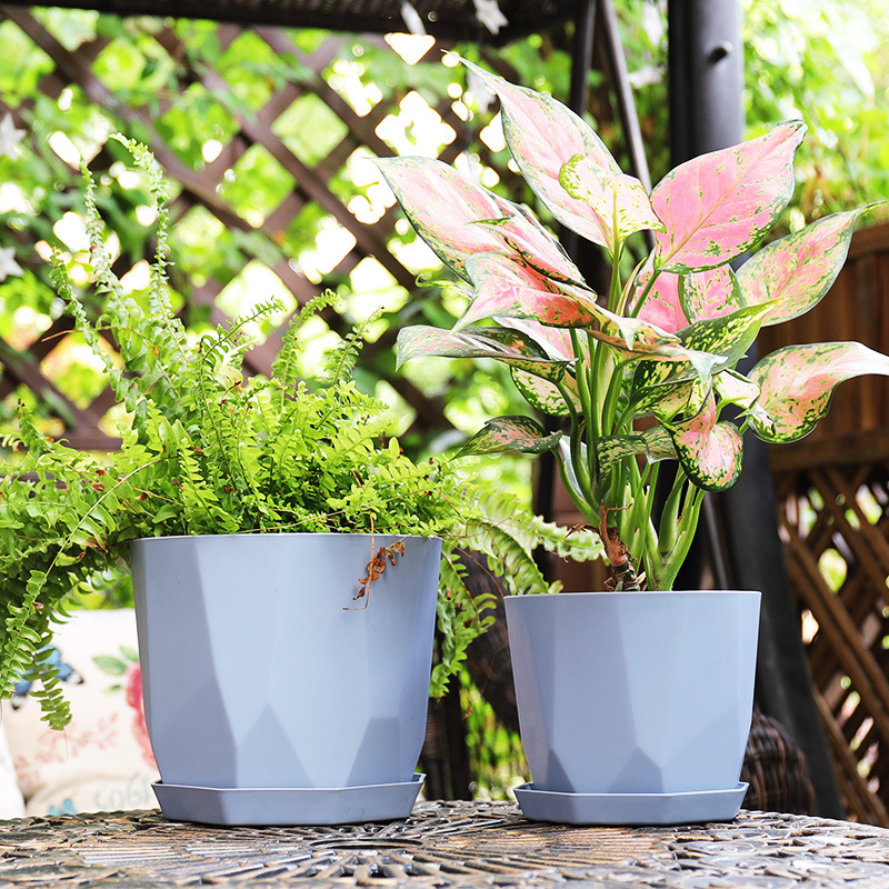 Ghiveci Nordic minimalist din rășină pentru suculente și Phalaenopsis, aspect ceramic, durabil