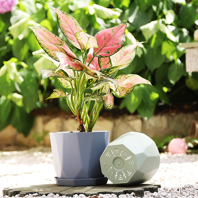 Ghiveci Nordic minimalist din rășină pentru suculente și Phalaenopsis, aspect ceramic, durabil