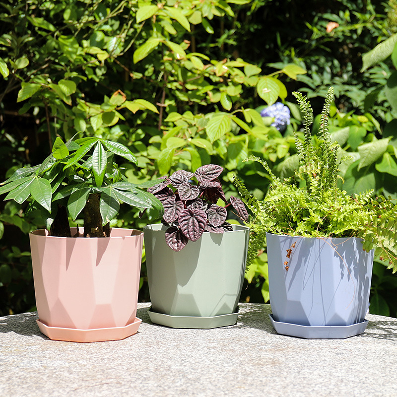 Ghiveci Nordic minimalist din rășină pentru suculente și Phalaenopsis, aspect ceramic, durabil