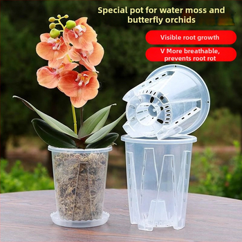 Ghiveci verde transparent pentru orhidee cu controlul rădăcinilor, ghiveci din plastic respirabil perforat pentru Phalaenopsis, mare pentru uz casnic