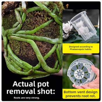 Ghiveci verde transparent pentru orhidee cu controlul rădăcinilor, ghiveci din plastic respirabil perforat pentru Phalaenopsis, mare pentru uz casnic
