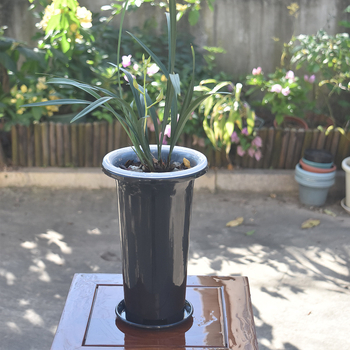 Vas de orchidă din plastic, negru transparent, design minimalist, mare, respirabil, set ghivece orchidă