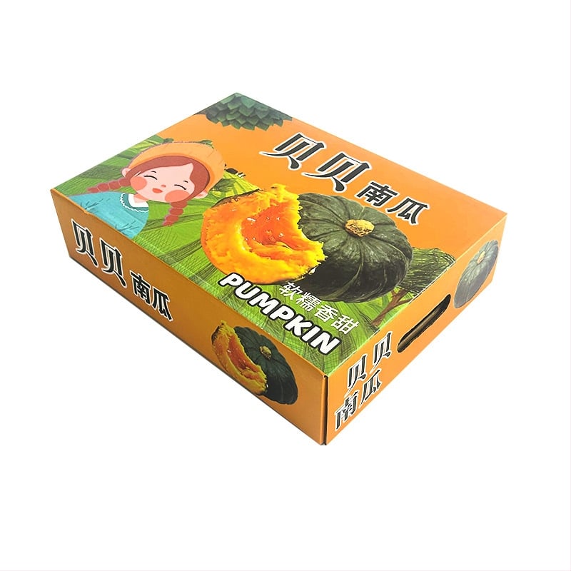 Cutie colorată în formă de avion pentru haine, imprimare color pe carton ondulat și fermoar