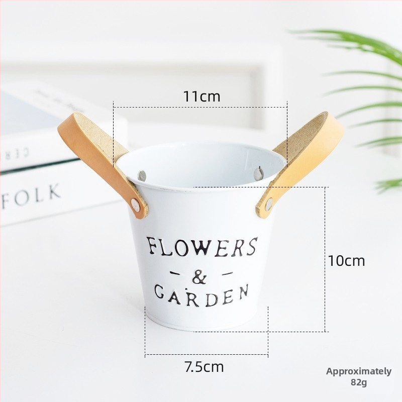 Ghiveci metalic colorat pentru balcon, pentru suculente, vas mic din fier pentru plante și bonsai