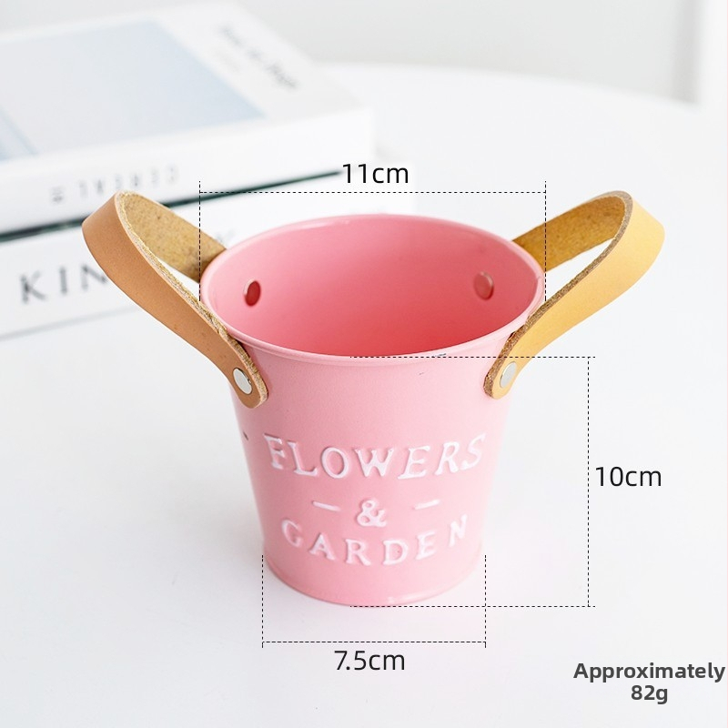 Ghiveci metalic colorat pentru balcon, pentru suculente, vas mic din fier pentru plante și bonsai