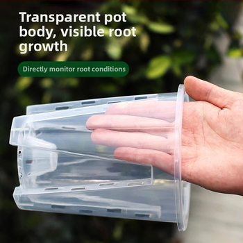 Ghiveci verde transparent cu controlul rădăcinilor pentru orhidee, dendrobium și mușchi; mare, din plastic respirabil