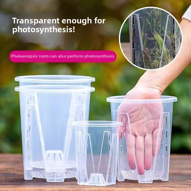 Ghiveci verde transparent cu controlul rădăcinilor pentru orhidee, dendrobium și mușchi; mare, din plastic respirabil