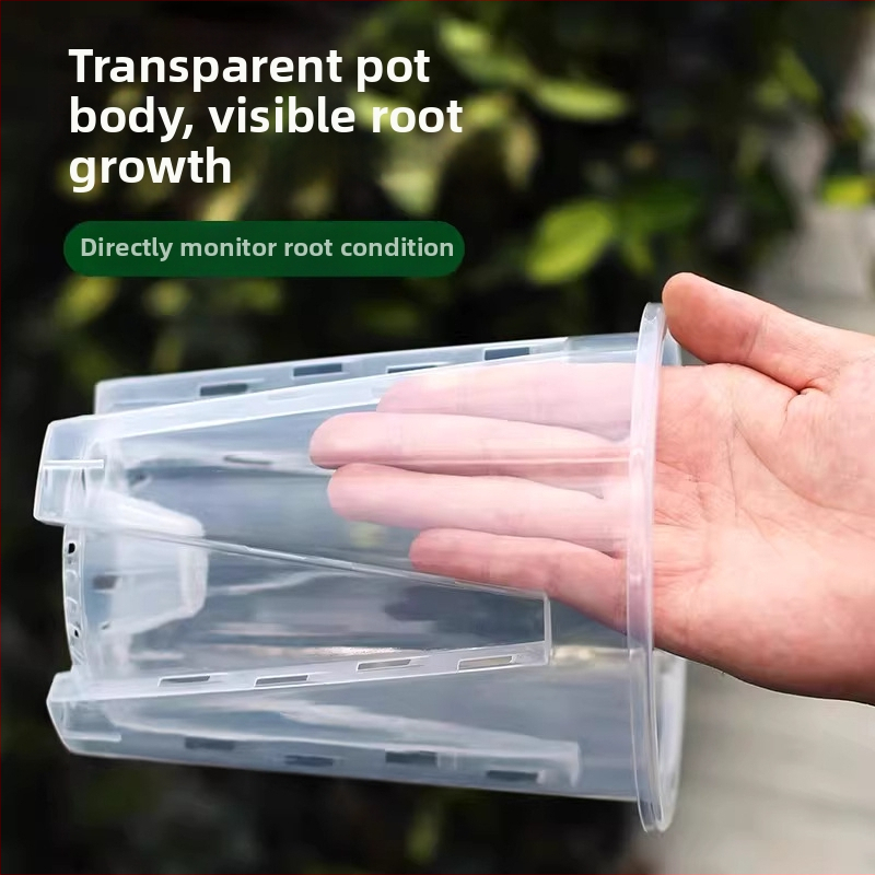 Ghiveci verde transparent cu controlul rădăcinilor pentru orhidee, dendrobium și mușchi; mare, din plastic respirabil