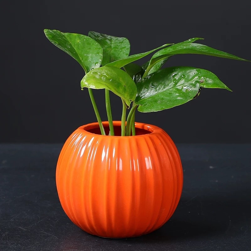 Vază din plastic în formă de dovleac, design modern minimalist, pentru aranjamente florale și decor de sufragerie pe comodă TV