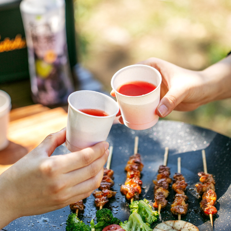 Set de farfurii și boluri din fibre de coji de orez pentru exterior – picnic, drumeții, camping și grătar