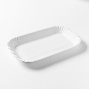 Farfurie de hârtie dreptunghiulară, de unică folosință, de calitate alimentară, biodegradabilă, dimensiuni 10x16 cm sau 13x20 cm, 230-300 GSM, potrivită pentru picnicuri și uz casnic
