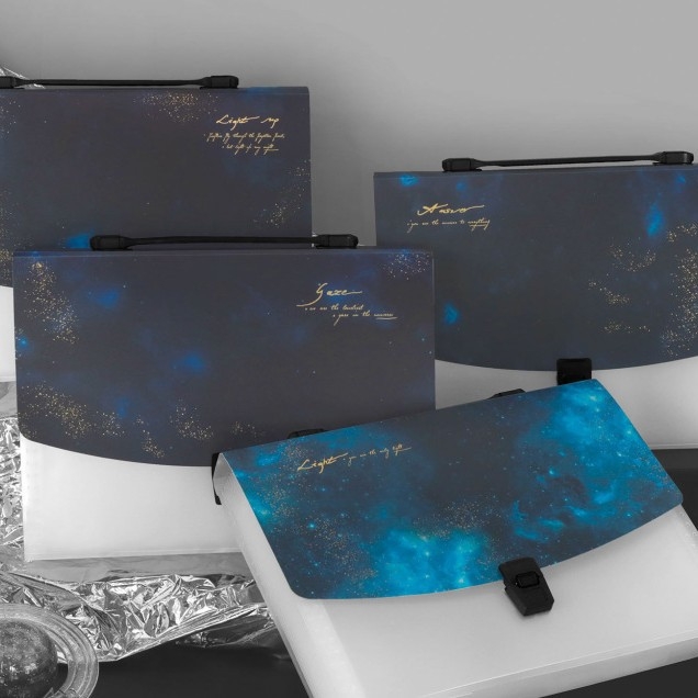 Seria Primului Tiraj 2025 – Design dosar A4 cu 13 buzunare, dosar acordeon din plastic pentru documente, personalizabil