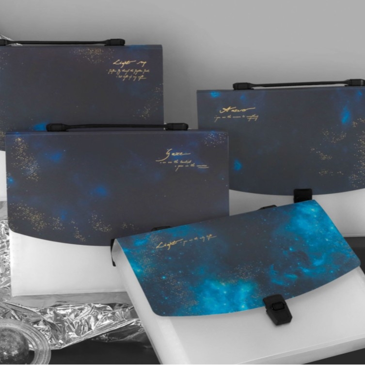 Seria Primului Tiraj 2025 – Design dosar A4 cu 13 buzunare, dosar acordeon din plastic pentru documente, personalizabil