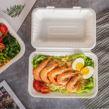 Cutie biodegradabilă pentru prânz din pulpă de trestie de zahăr – recipient dreptunghiular, de unică folosință pentru take-out