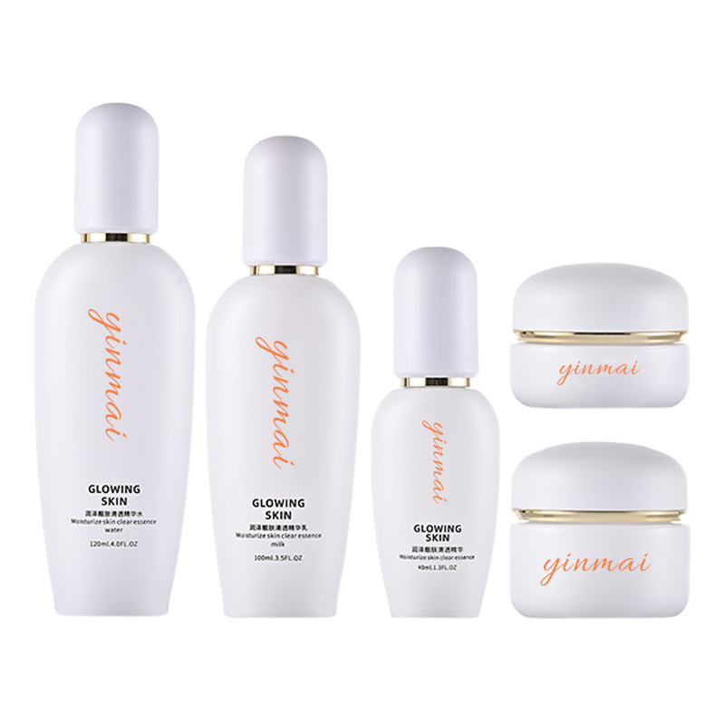 Silver Vein kozmetičke bočice, staklene kapaciteta 40–120 ml, s pumpom, 50 g esencije, krema i losion