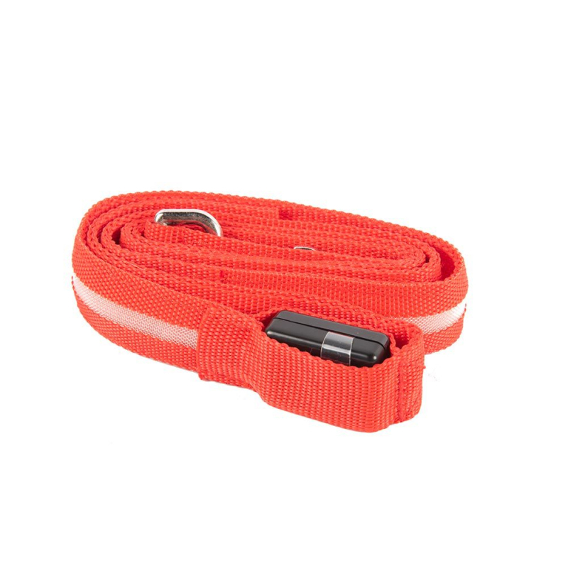 USB LED povodac za srednje i velike pse