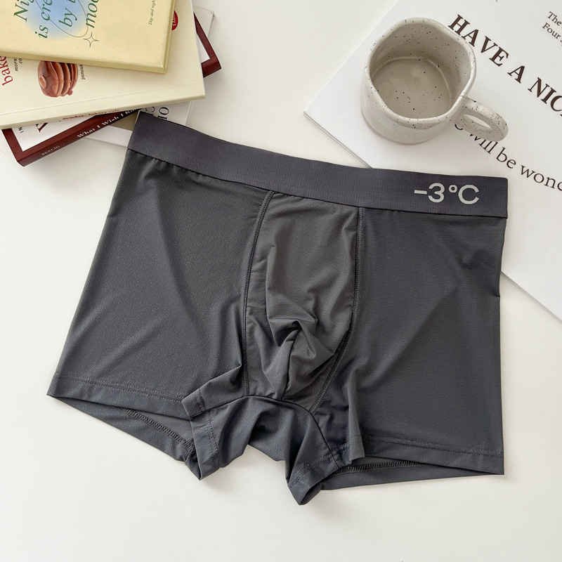 Ice Silk bezšivne muške gaćice za ljeto, prozračna mreža, antibakterijske, tanke boxerice