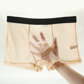 Muške gaćice od čipkaste mreže, prozračne, Ice Silk materijal, plus veličina