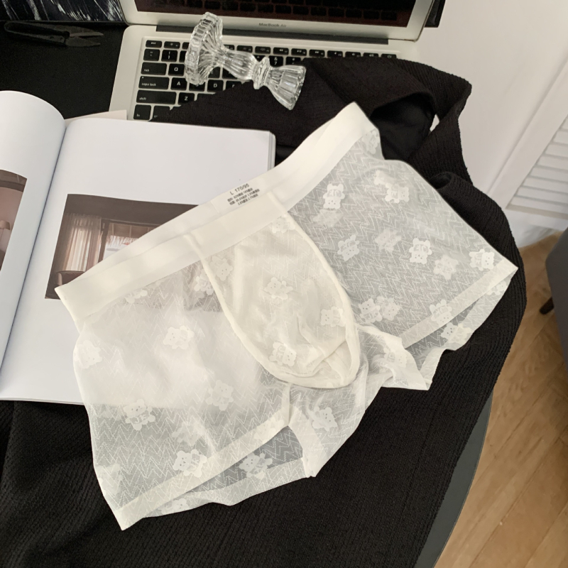 Retro smeđi medvjed jacquard čipka muške bokserice, 10A antibakterijske, s mirisom kamelije i Mulberry Silk