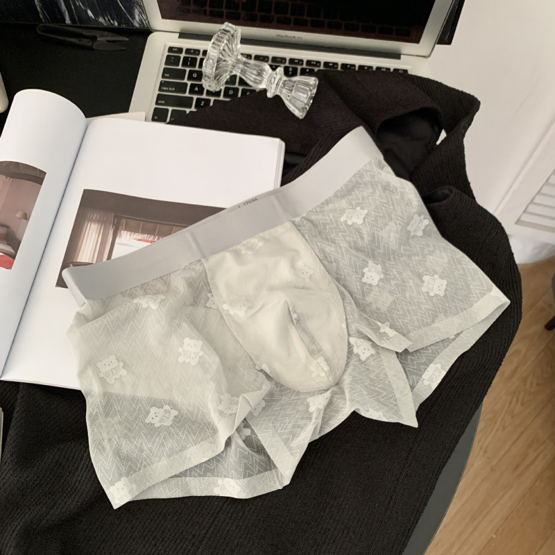 Retro smeđi medvjed jacquard čipka muške bokserice, 10A antibakterijske, s mirisom kamelije i Mulberry Silk