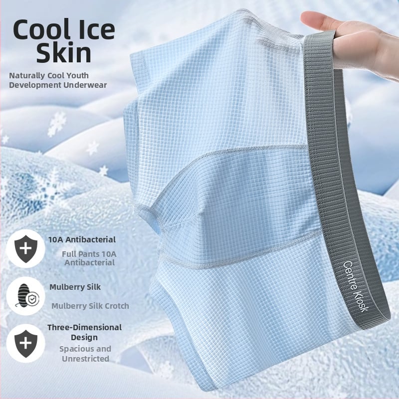 Bezšivne gaćice za tinejdžerske dječake, Lyocell i Mulberry Silk Ice Silk, prozračne i brzo se suše