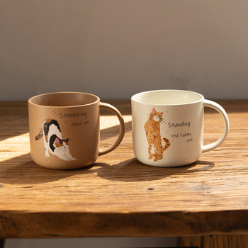 Cană ceramică cu pisică calico drăguță