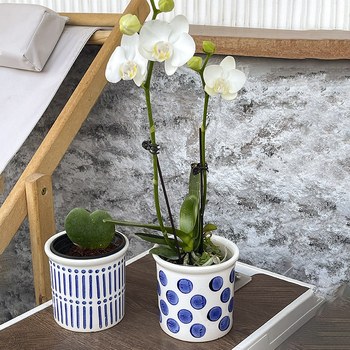 Ghiveci ceramic respirabil, în nuanțe alb-albastru Morandi Mediterranean, stil nordic; potrivit pentru Phalaenopsis și hiacint
