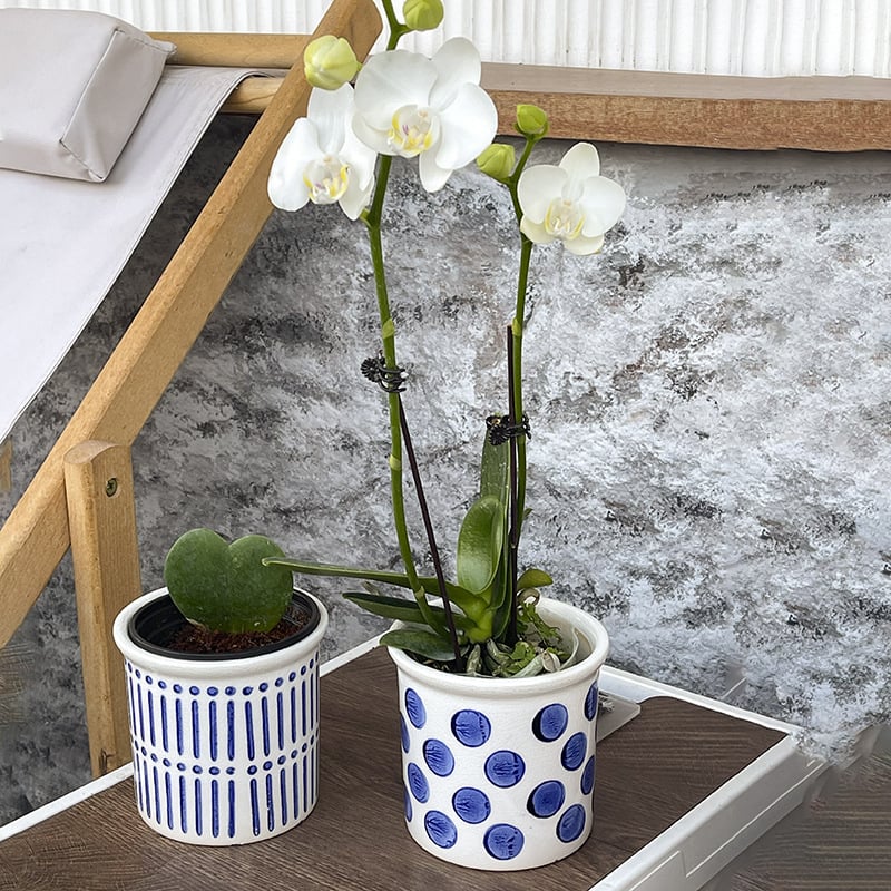 Ghiveci ceramic respirabil, în nuanțe alb-albastru Morandi Mediterranean, stil nordic; potrivit pentru Phalaenopsis și hiacint