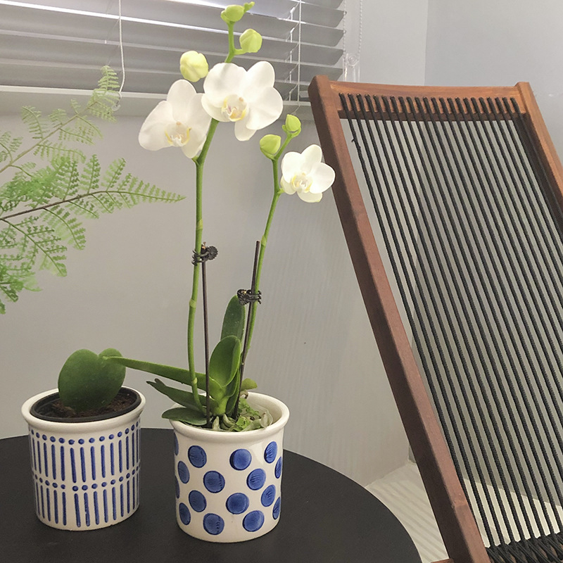 Ghiveci ceramic respirabil, în nuanțe alb-albastru Morandi Mediterranean, stil nordic; potrivit pentru Phalaenopsis și hiacint