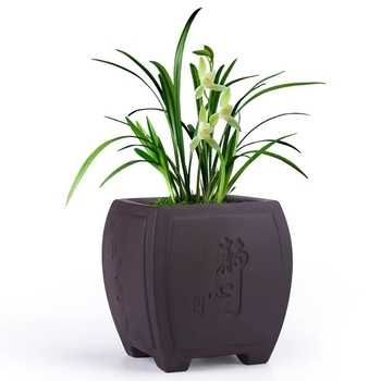 Ghiveci ceramic pentru orchidă din lut mov, model creativ nou, diametru mare, pentru casă și birou, respirabil