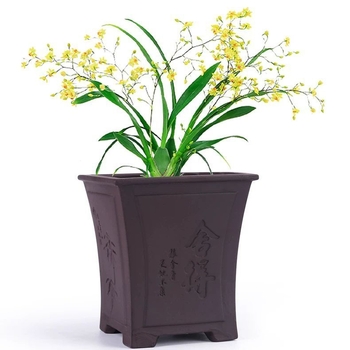 Ghiveci ceramic pentru orchidă din lut mov, model creativ nou, diametru mare, pentru casă și birou, respirabil