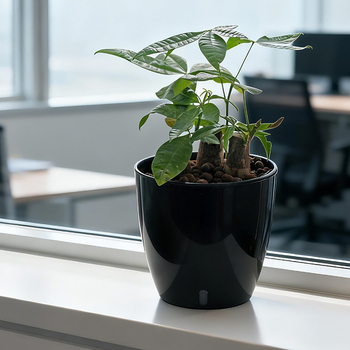 Ghiveci interior minimalist cu auto-udare, rezervor de apă din plastic gros, plantă de birou decorativ