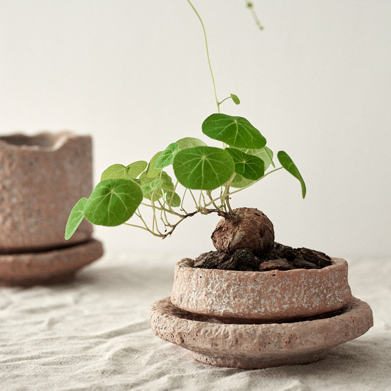 Ghiveci ceramic pentru flori, cu textură ciocănită, stil retro, ghiveci de birou cu tavă