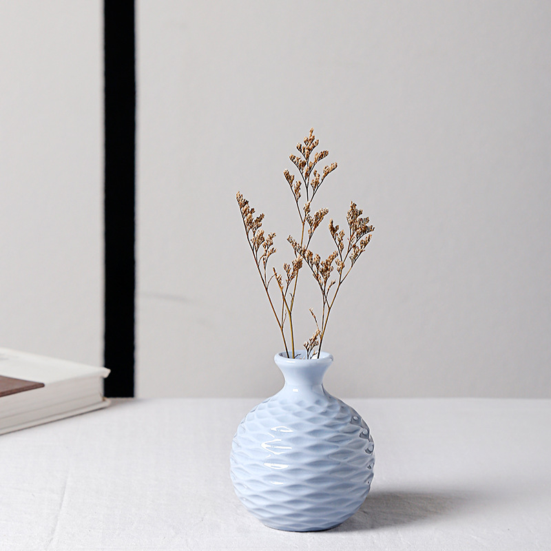 Vază en gros pentru living, design simplu și modern din ceramică europeană, aranjament hidroponic mini creativ