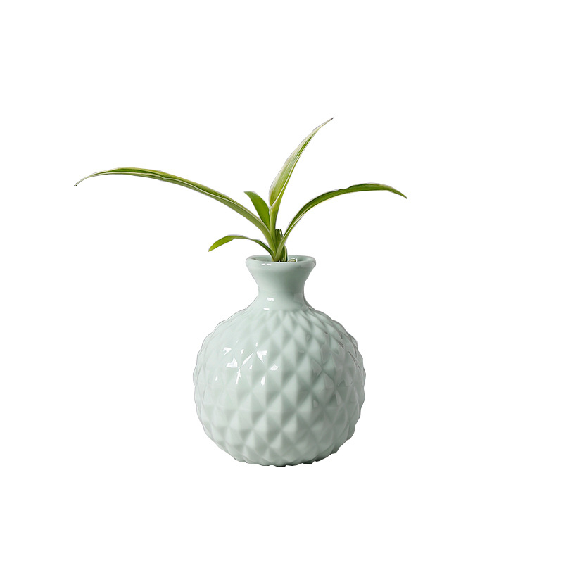 Vază en gros pentru living, design simplu și modern din ceramică europeană, aranjament hidroponic mini creativ