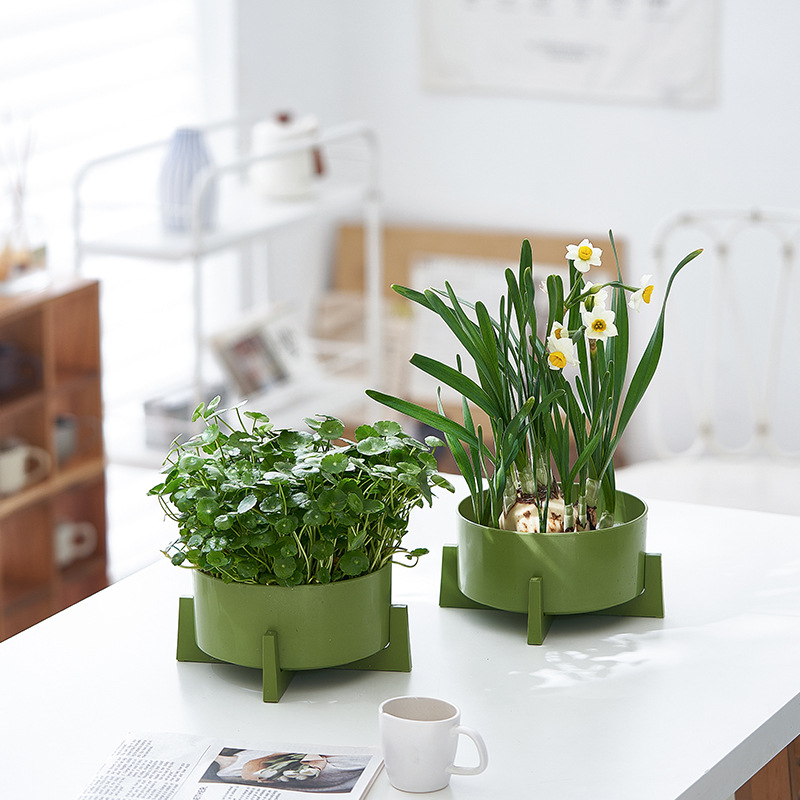 Vas hidroponic din rășină pentru narcise, planta de bani, nuferi și lotus