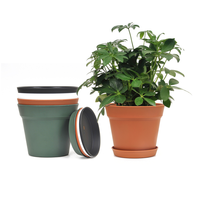 Ghiveci plastic cu diametru mare pentru suculente, aspect ceramic